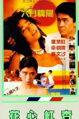 字幕全集免费观看
