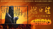 BD高清免费观看
