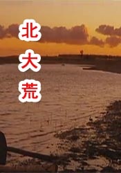 全集免费观看超清